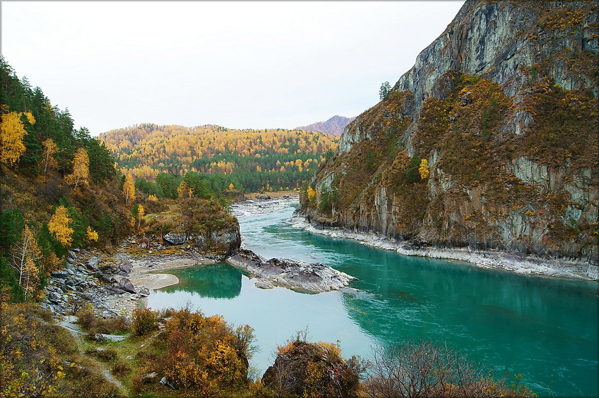 Горы оби. Река Катунь горный Алтай. Горно Алтайск река Катунь. Природа горного Алтая река Катунь. Горный Алтай Катунь осень.