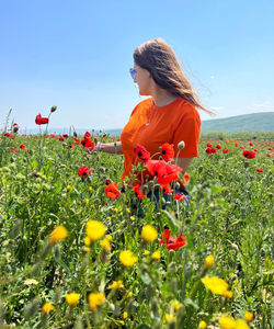 Цветение маков в Дагестане